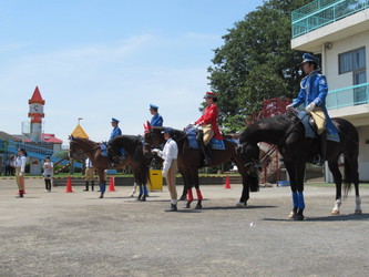 警視庁騎馬隊による交通安全指導 石神井南幼稚園