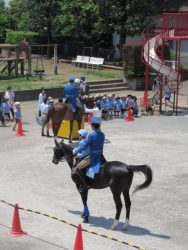 警視庁騎馬隊による交通安全指導 石神井南幼稚園